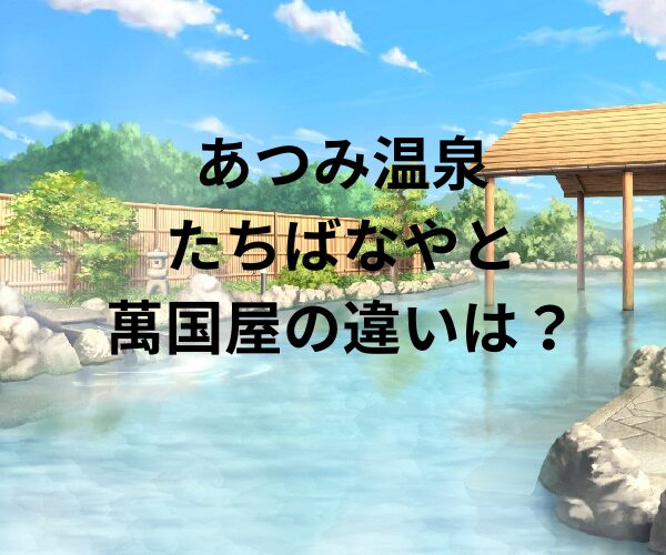 たちばなやと萬国屋の違いを比較！