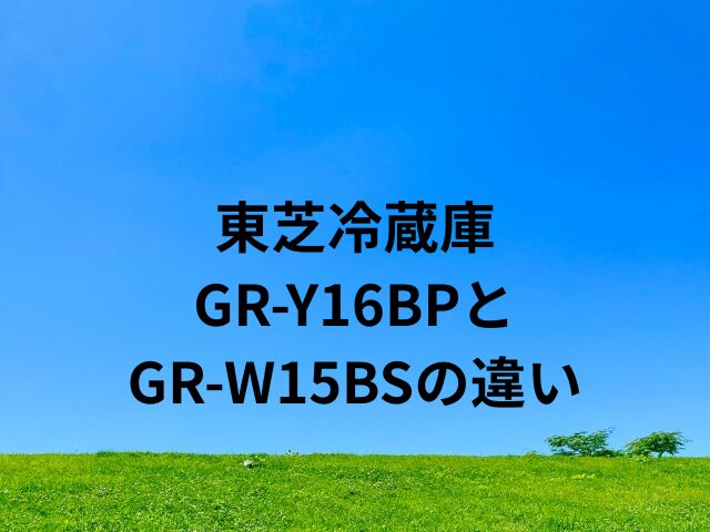 東芝冷蔵庫GR-Y16BPとGR-W15BSの違い