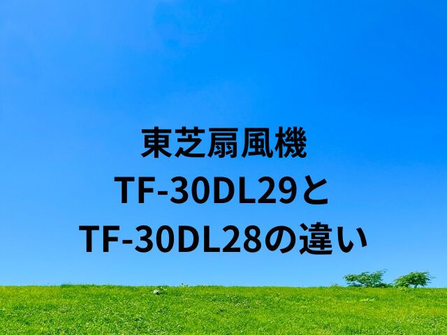 TF-30DL29とTF-30DL28の違い