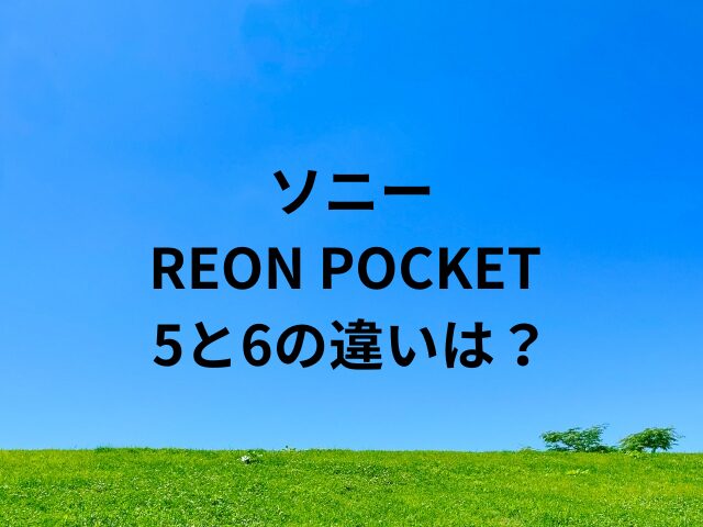 REON POCKET 5と6の違いは？